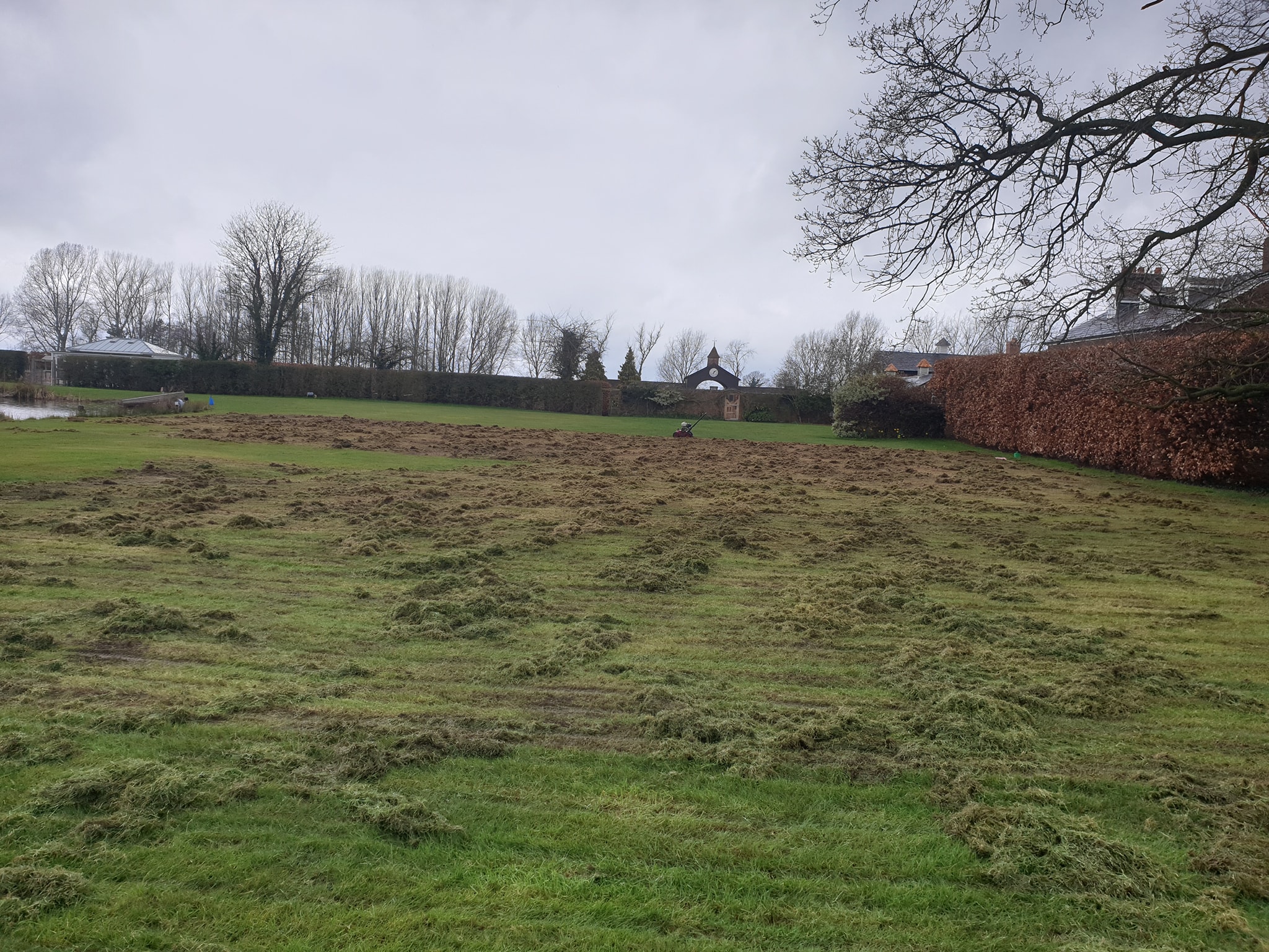 Moss Control Cheshire Lawn Doctor