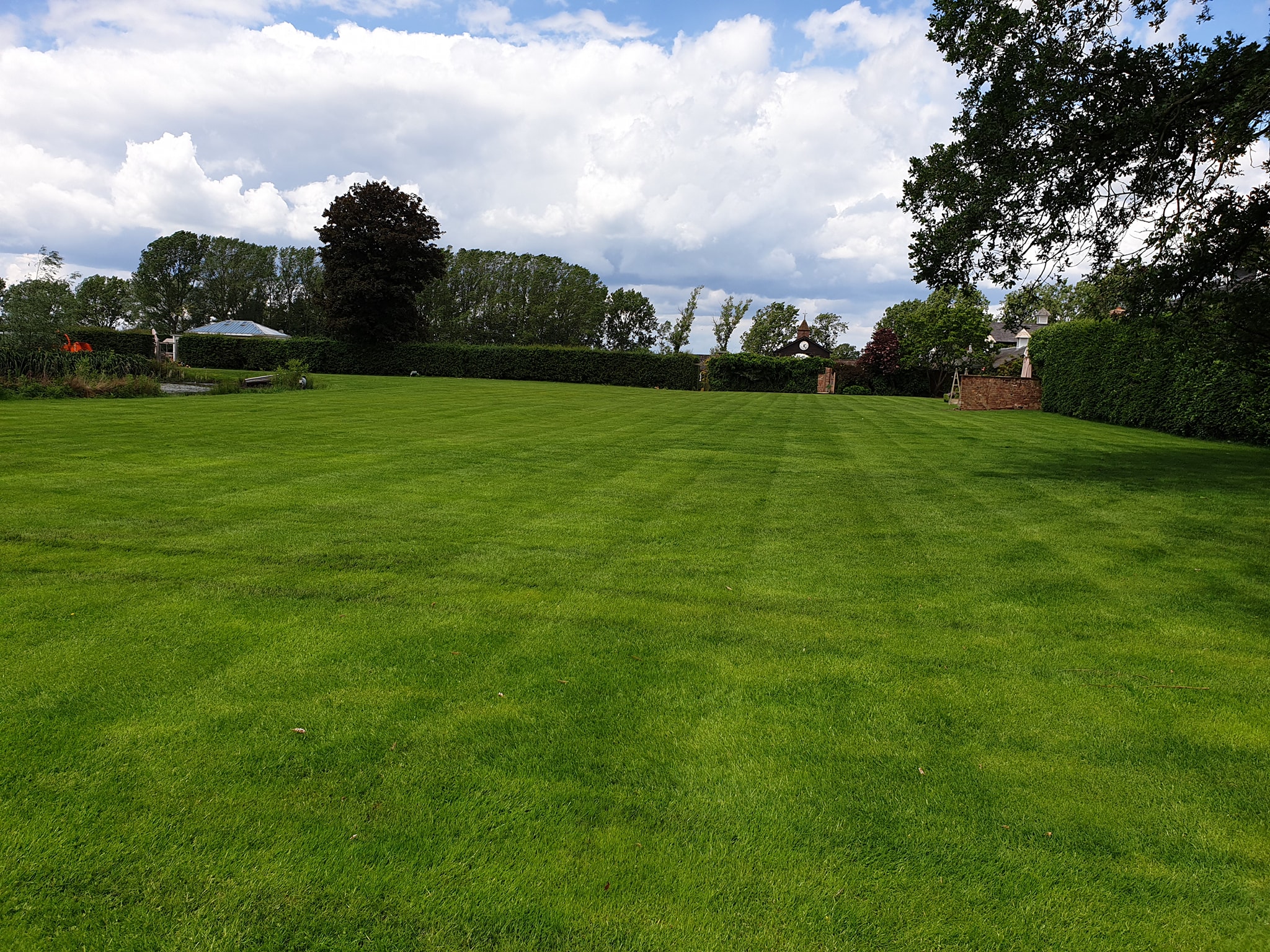 Moss Control Cheshire Lawn Doctor