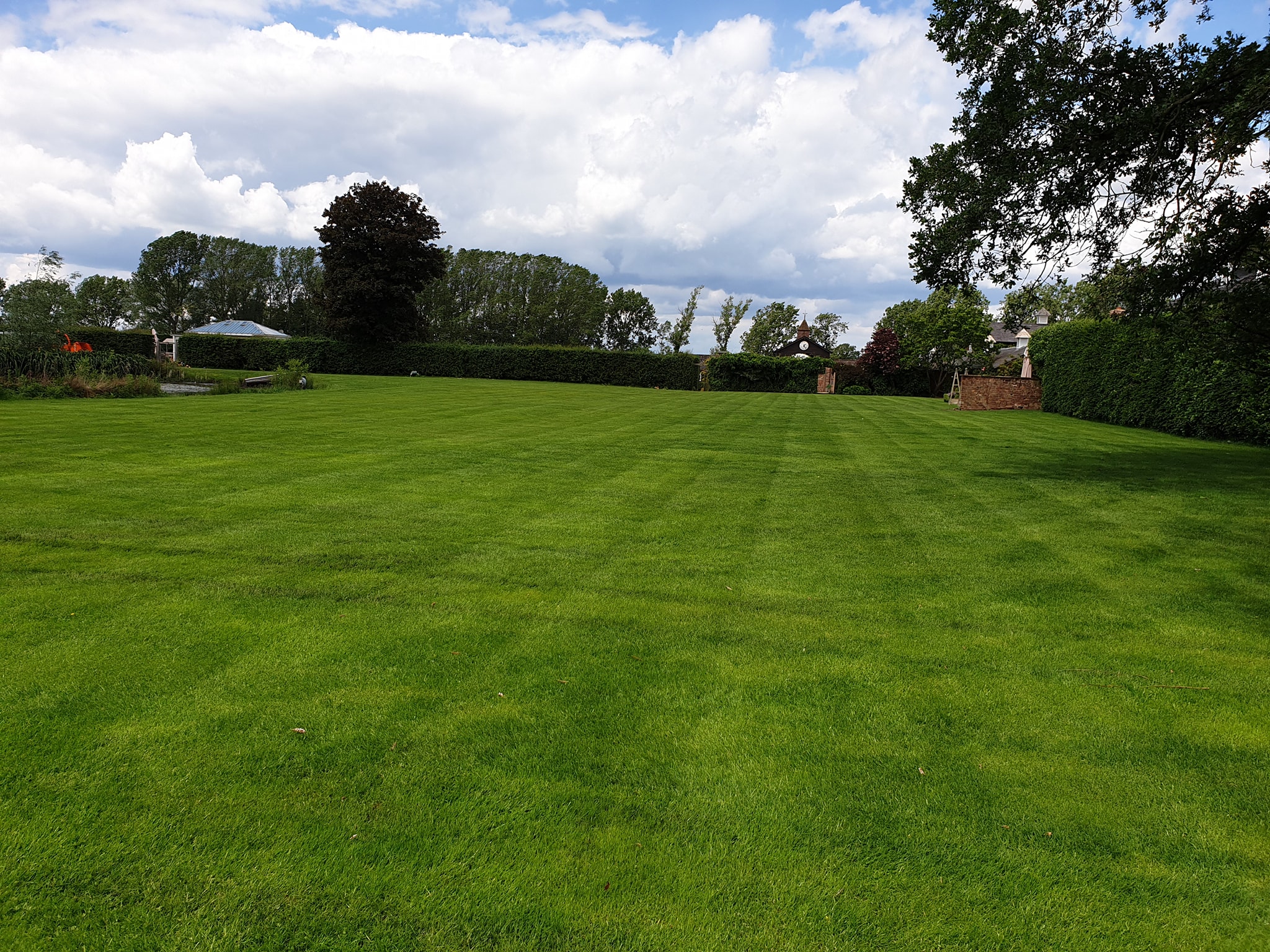 Lawn Renovation in Marthall