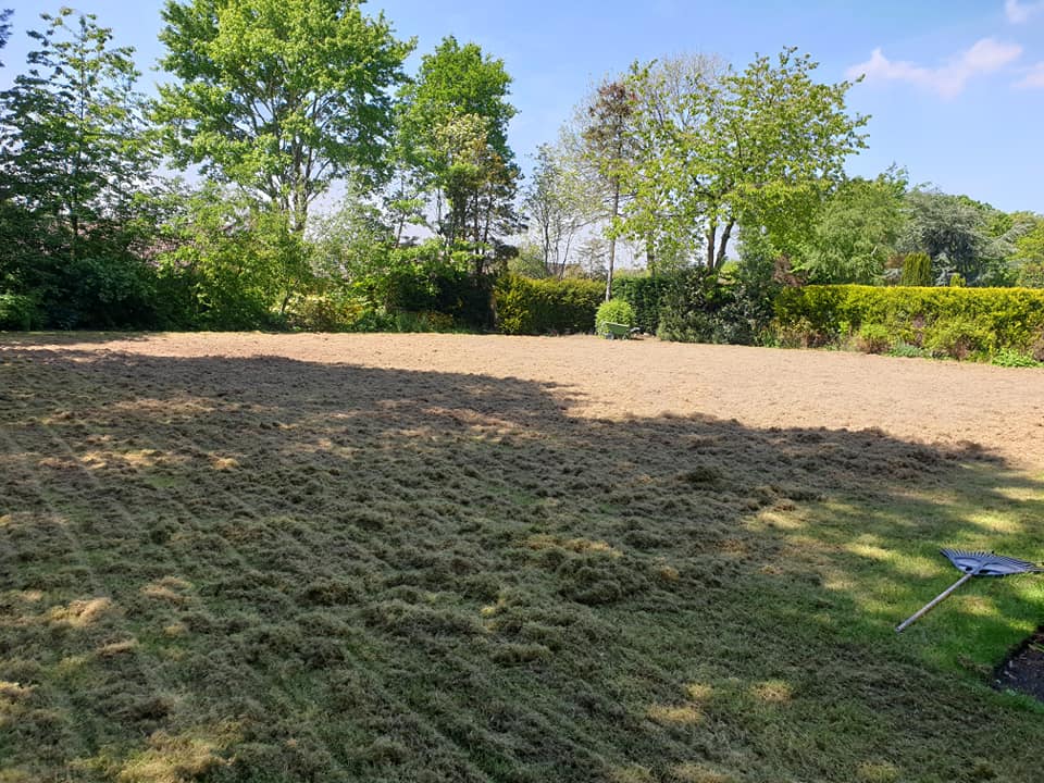 Scarification for moss and thatch
