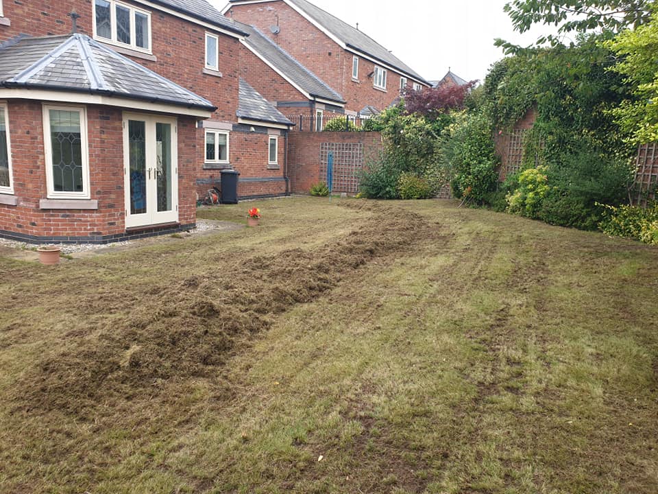 Scarification and aeration in Appleton