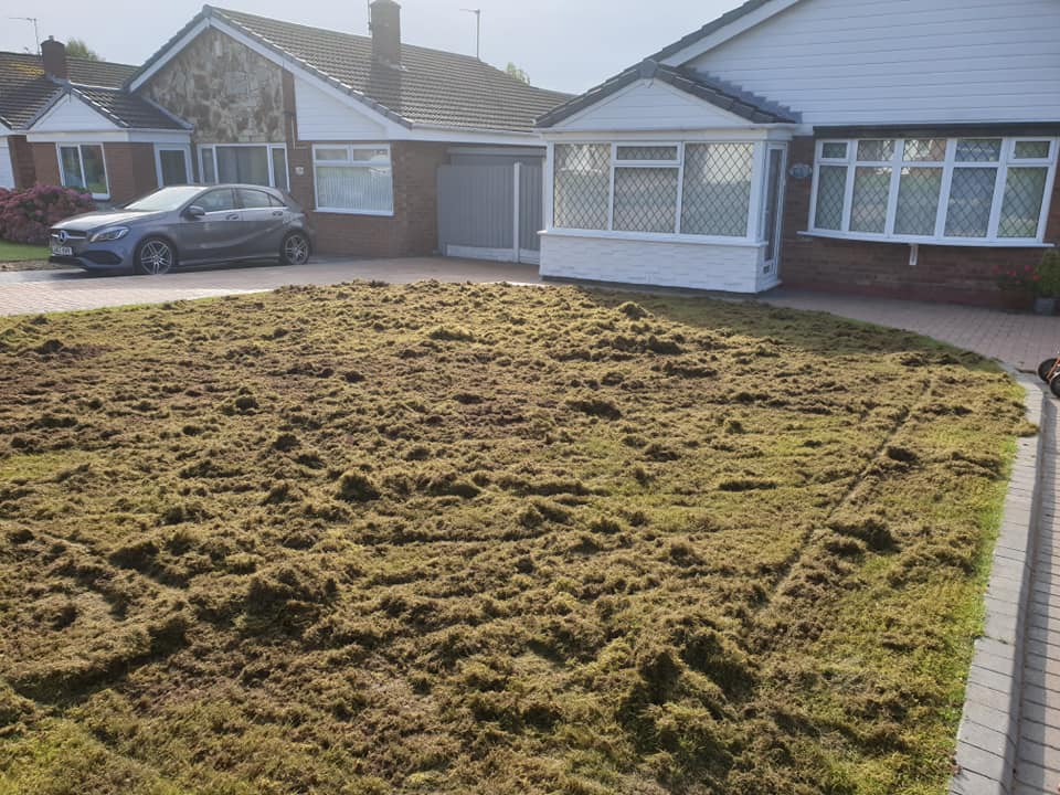 Thatch and moss removal in Winwick lawn