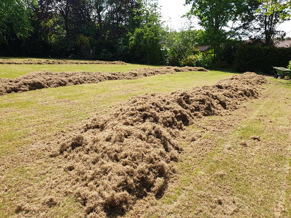 Moss and thatch removal
