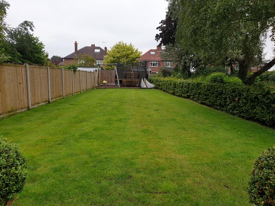 Scarifying, over seeding, top dressing lawn
