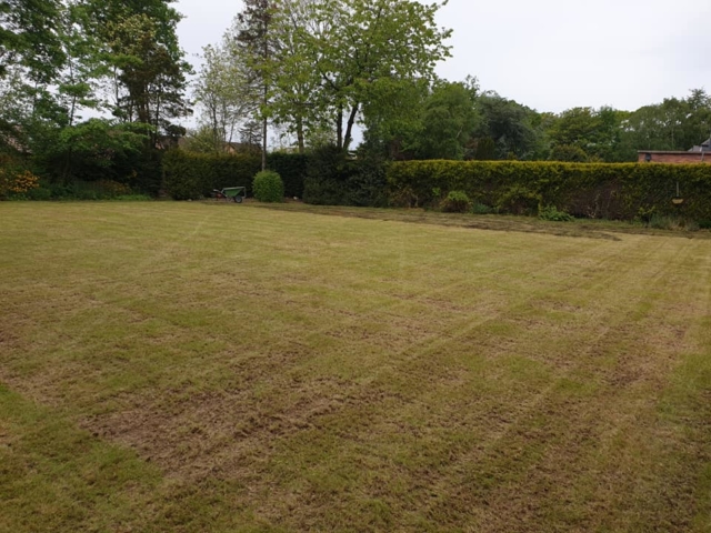 Scarified and aerated