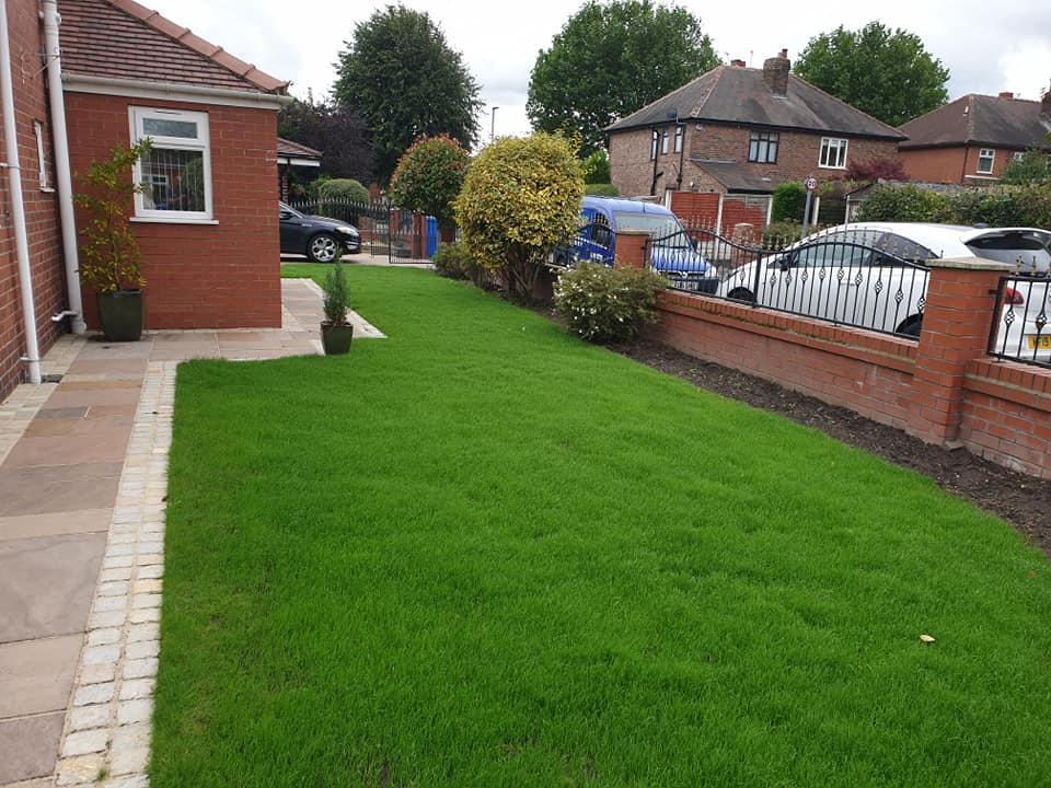 Lawn Renovation Warrington. Scarified, aerated, over seeded and top dressed.