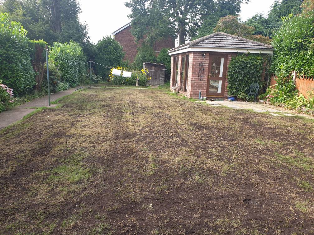 Top dressing and over seeding a lawn